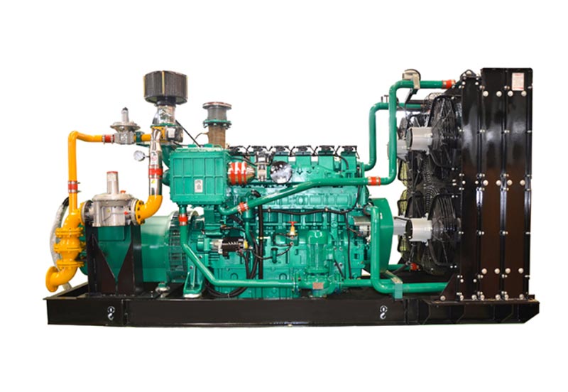 Biogas Generator Set for Pig Farm